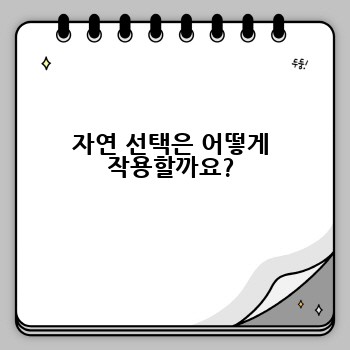 자연 선택은 어떻게 작용할까요?