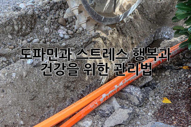 도파민과 스트레스: 행복과 건강을 위한 관리법