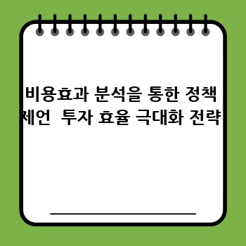 비용효과 분석을 통한 정책 제언  투자 효율 극대화 전략