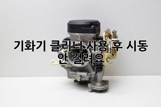 기화기 클리너 사용 후 시동 안 걸려요? 😥