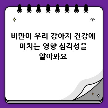 비만이 우리 강아지 건강에 미치는 영향 심각성을 알아봐요