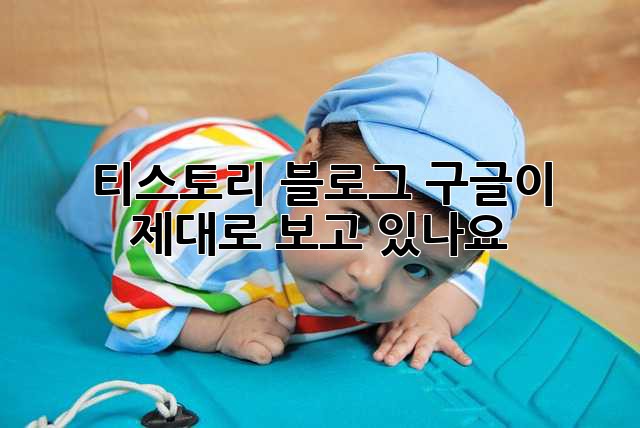 티스토리 블로그, 구글이 제대로 보고 있나요?