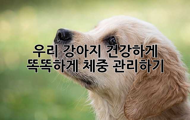 우리 강아지, 건강하게 똑똑하게 체중 관리하기!