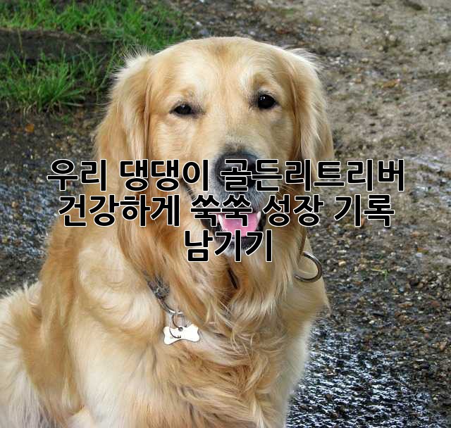 우리 댕댕이 골든리트리버, 건강하게 쑥쑥! 성장 기록 남기기