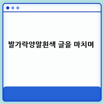 발가락양말흰색 글을 마치며