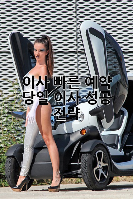 이사 빠른 예약: 당일 이사 성공 전략