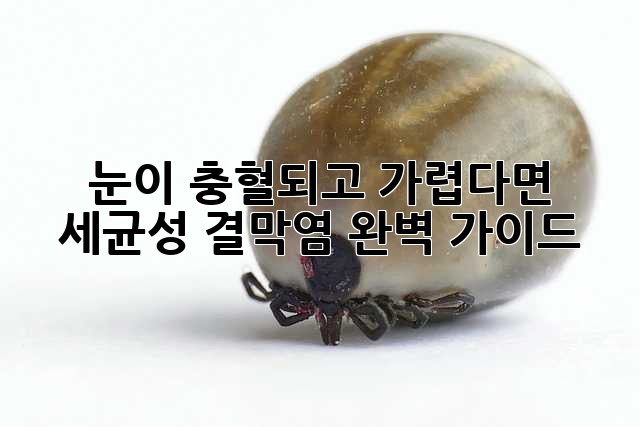 눈이 충혈되고 가렵다면? 세균성 결막염 완벽 가이드
