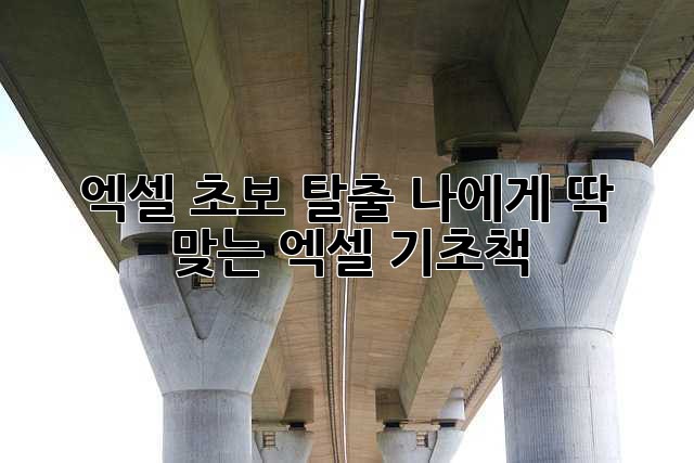 엑셀 초보 탈출! 나에게 딱 맞는 엑셀 기초책