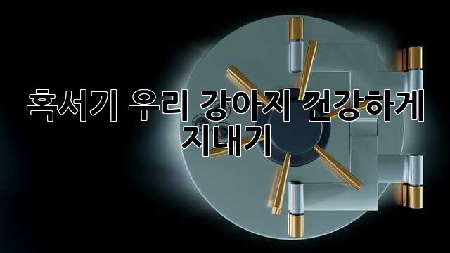 혹서기, 우리 강아지 건강하게 지내기🐶☀️