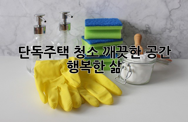단독주택 청소: 깨끗한 공간, 행복한 삶