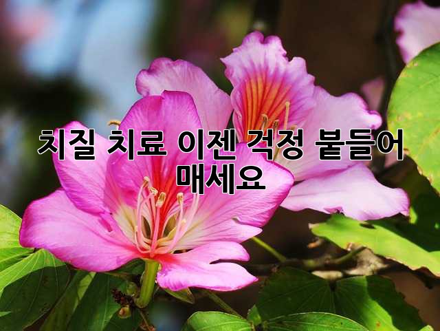 치질 치료, 이젠 걱정 붙들어 매세요!