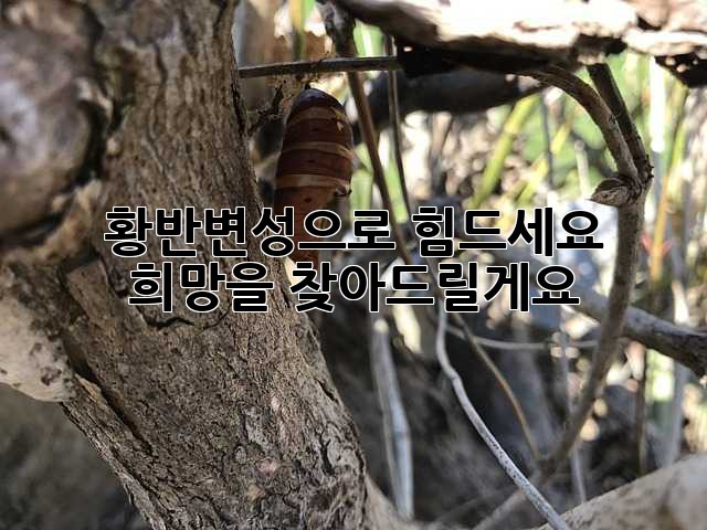 황반변성으로 힘드세요? 희망을 찾아드릴게요!