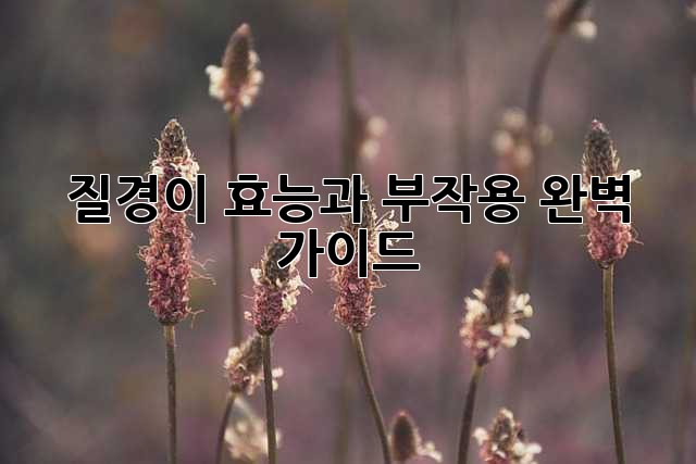질경이 효능과 부작용 완벽 가이드
