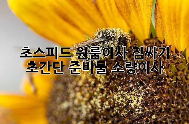 🚀 초스피드 원룸이사? 짐싸기 초간단 준비물! #소량이사