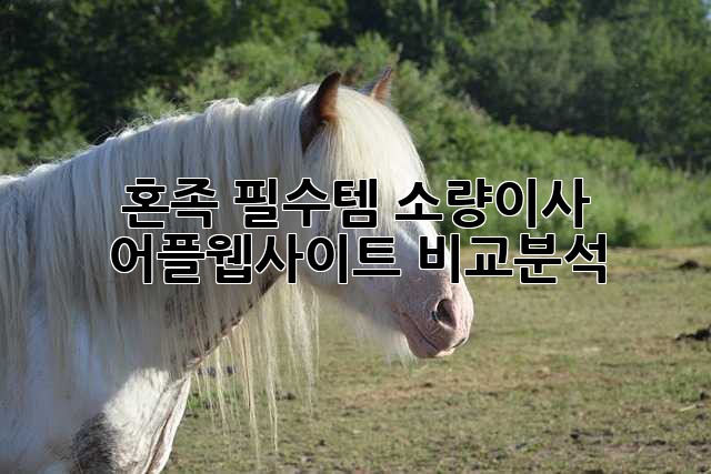 📦 혼족 필수템! 소량이사 어플/웹사이트 비교분석 🚚💨
