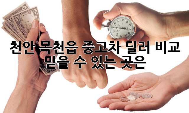 천안 목천읍 중고차 딜러 비교: 믿을 수 있는 곳은?